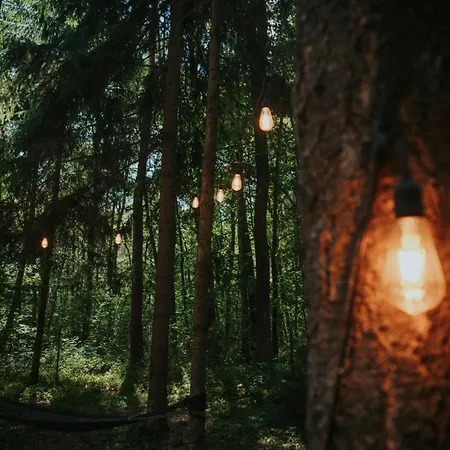 Forest Cabin - 50Min Od Warszawy Wola Polska Екстер'єр фото