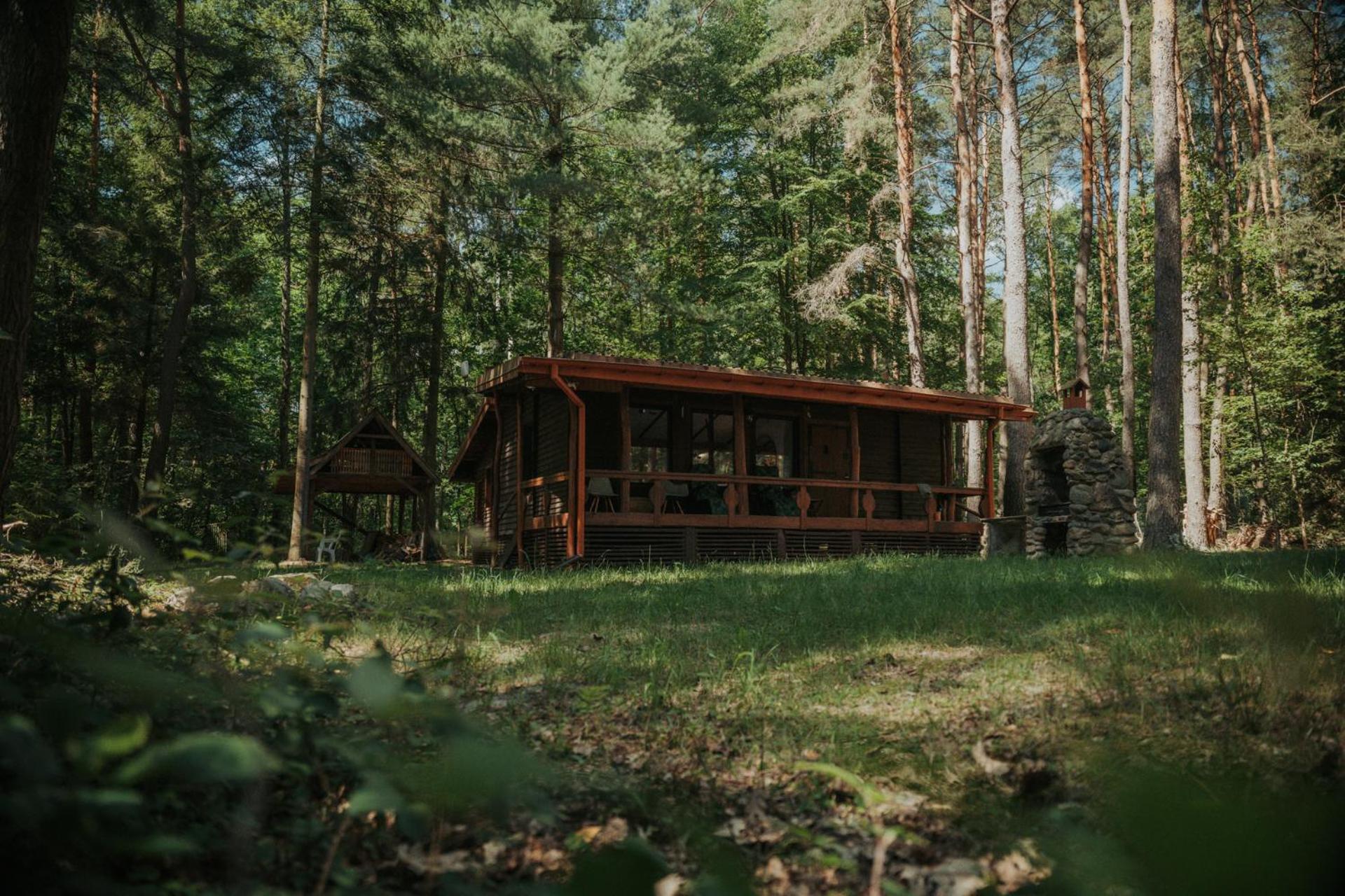 Forest - 50min Od Warszawy Wola Polska