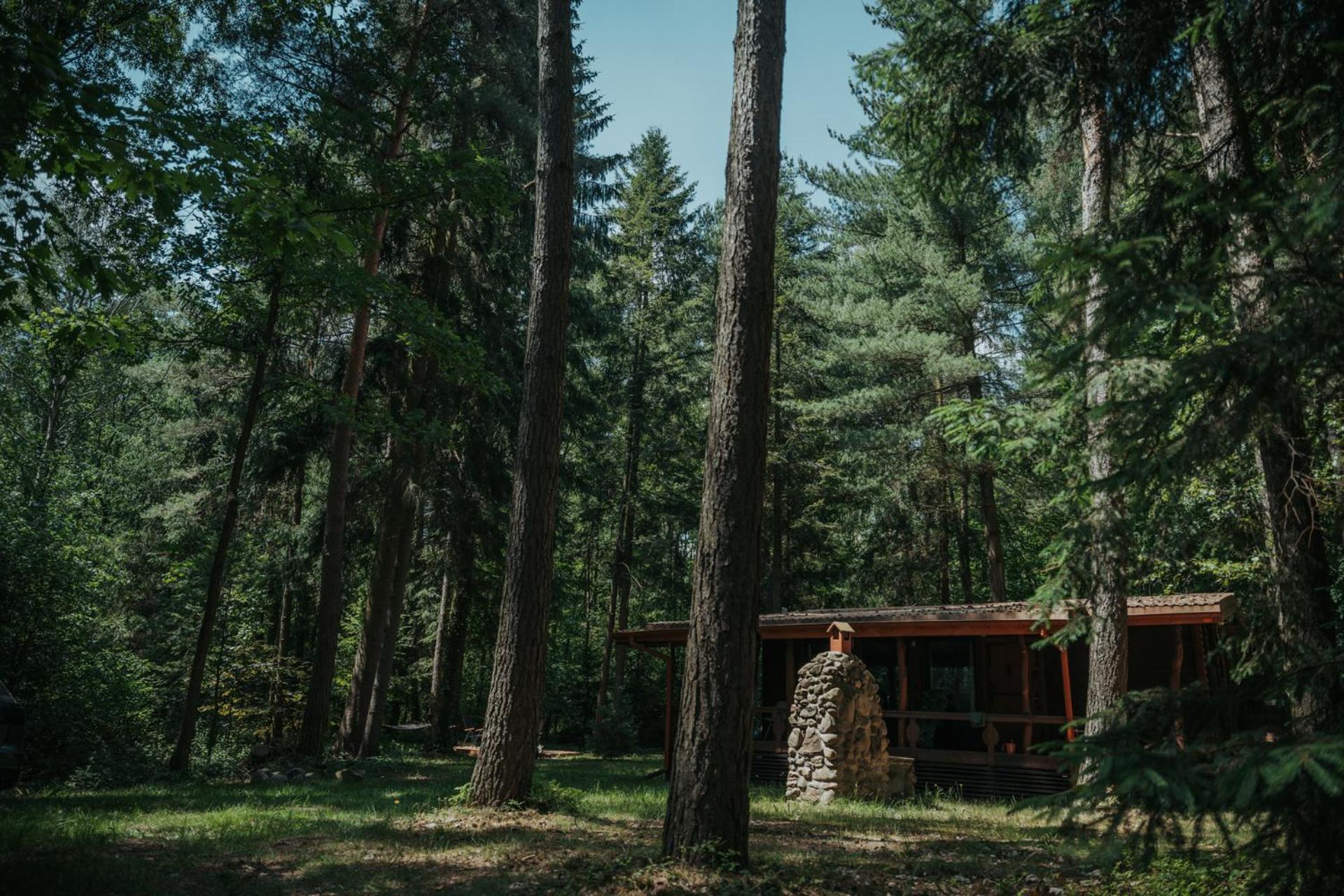 Forest - 50min Od Warszawy Wola Polska