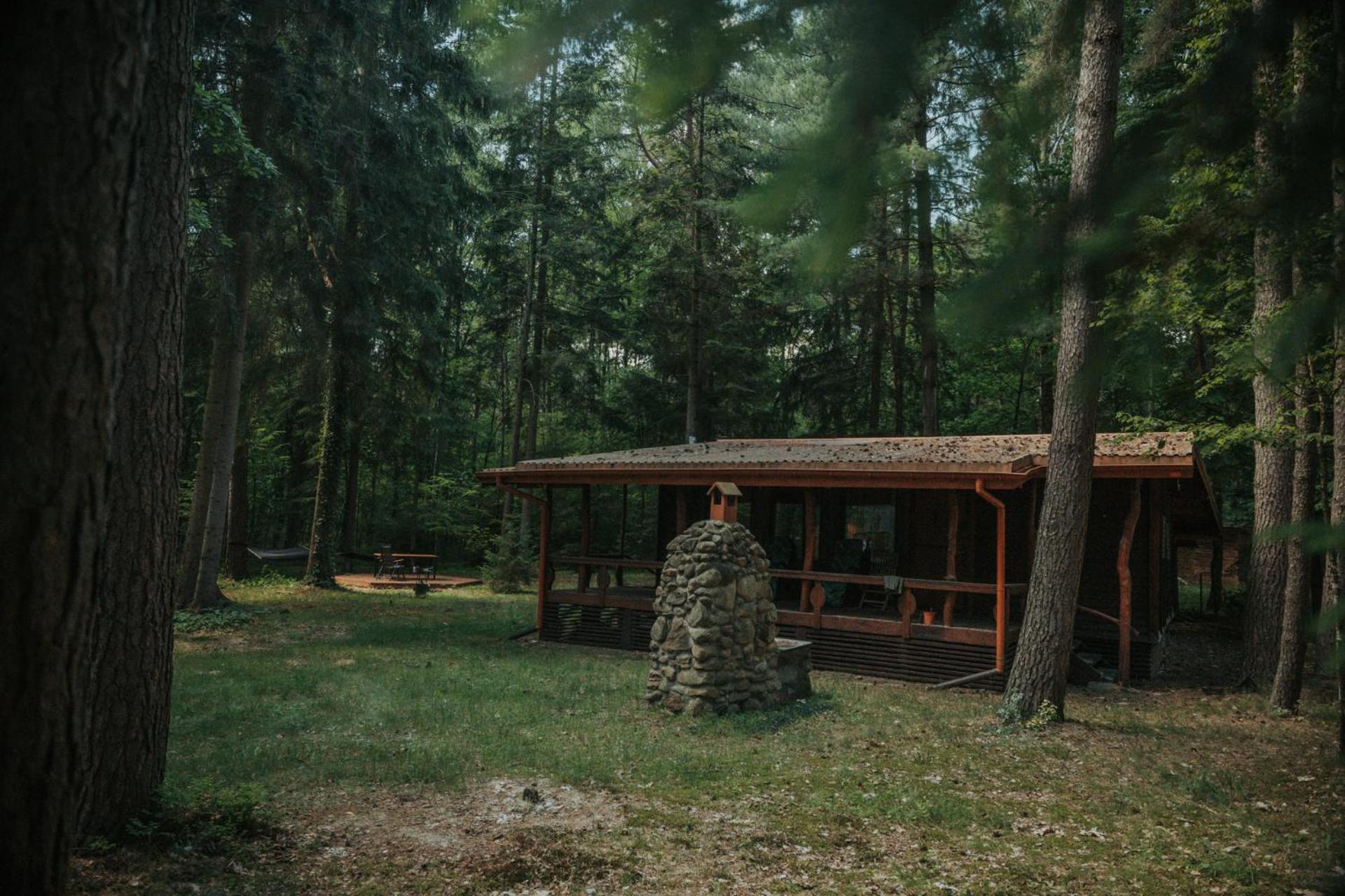 Forest - 50min Od Warszawy