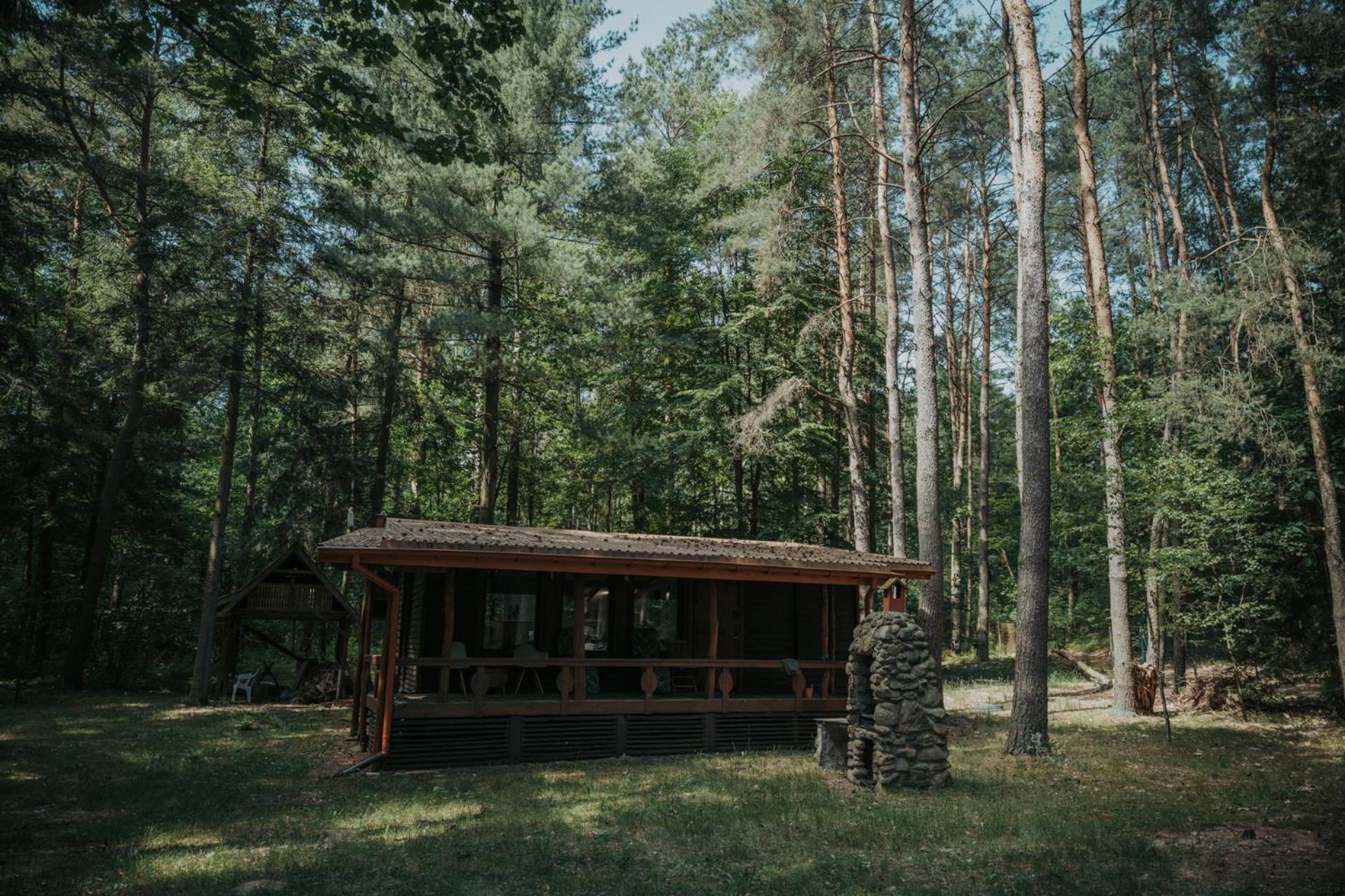 Forest - 50min Od Warszawy *