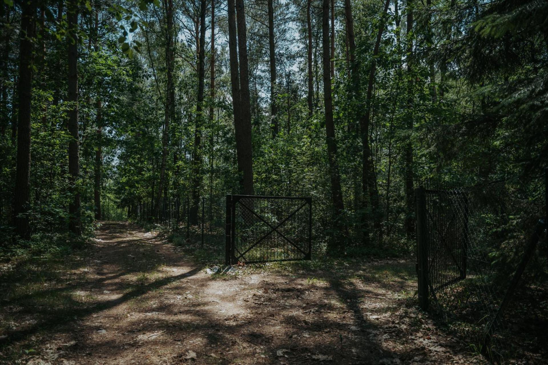 Forest - 50min Od Warszawy Ferienhaus Wola Polska